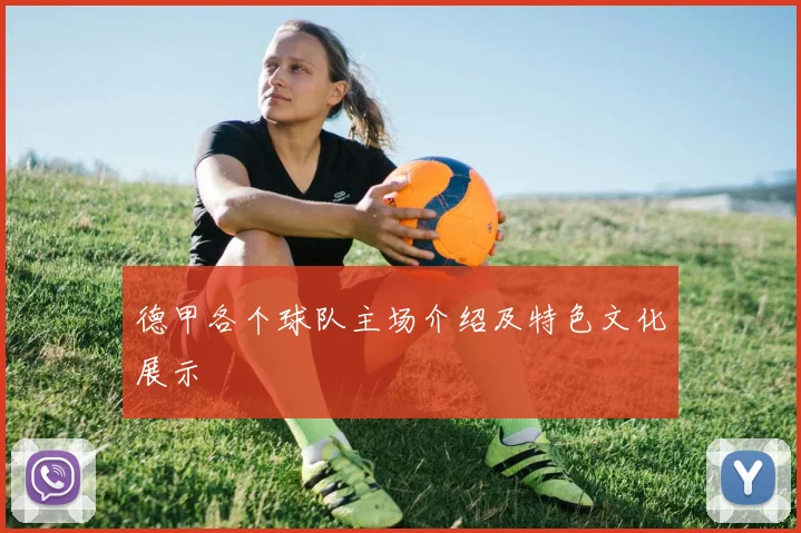德甲各个球队主场介绍及特色文化展示