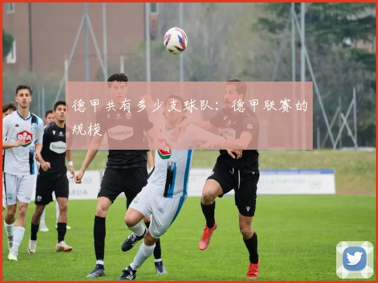 德甲共有多少支球队:德甲联赛的规模