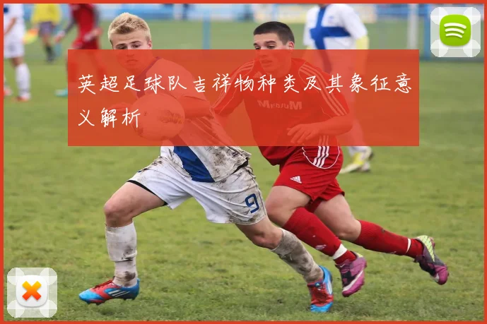 英超足球队吉祥物种类及其象征意义解析